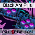 Black Ant Pills 03